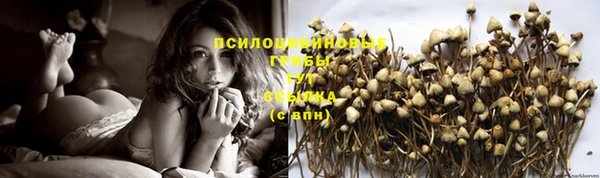 синтетический гашиш Вяземский