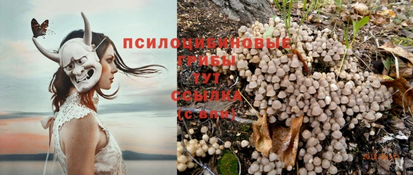 каннабис Ступино