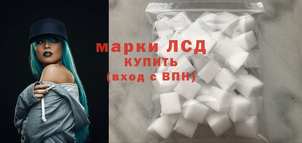 стафф Струнино