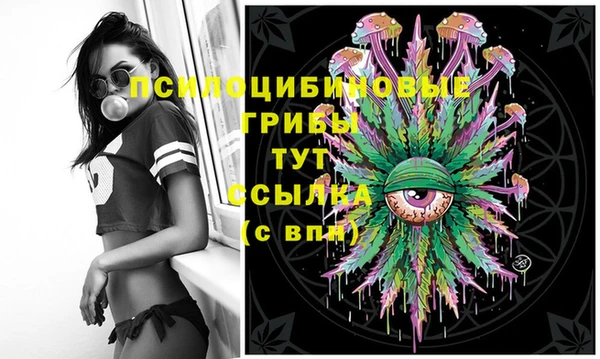 синтетический гашиш Вяземский