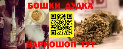 мдпв Гатчина